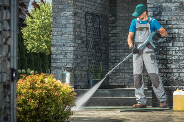 Best Graffiti Removal  in Mckeesport, PA